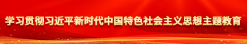 操逼视频下载观看学习贯彻习近平新时代中国特色社会主义思想主题教育