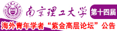 操嫩屄网南京理工大学第十四届海外青年学者紫金论坛诚邀海内外英才！